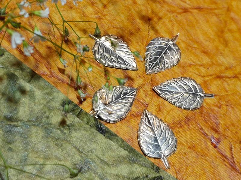 Tulshi/Basil/Tulasi/Tulsi Leaf 3 Tulshi/Basil/Tulasi/Tulsi Leaf